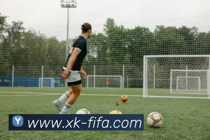 世界杯投注登录平台生态图